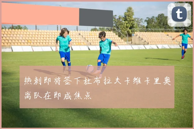 热刺即将签下杜布拉夫卡维卡里奥离队在即成焦点